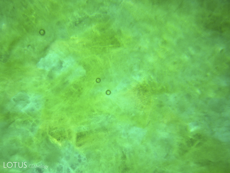 Round gas bubbles are visible in the resin backing under magnification.