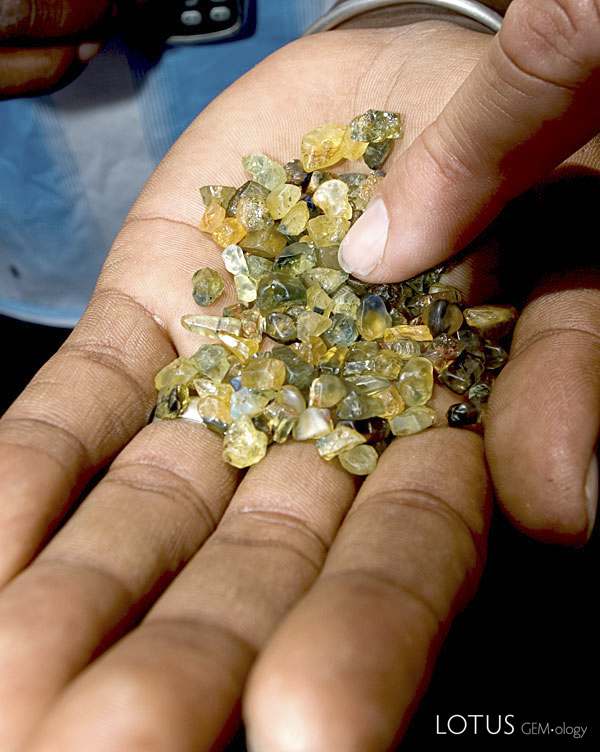 A handful of sapphire from Ambondromifehy, just south of Diego Suarez in Madagascar's far north. Photo: Richard W. Hughes