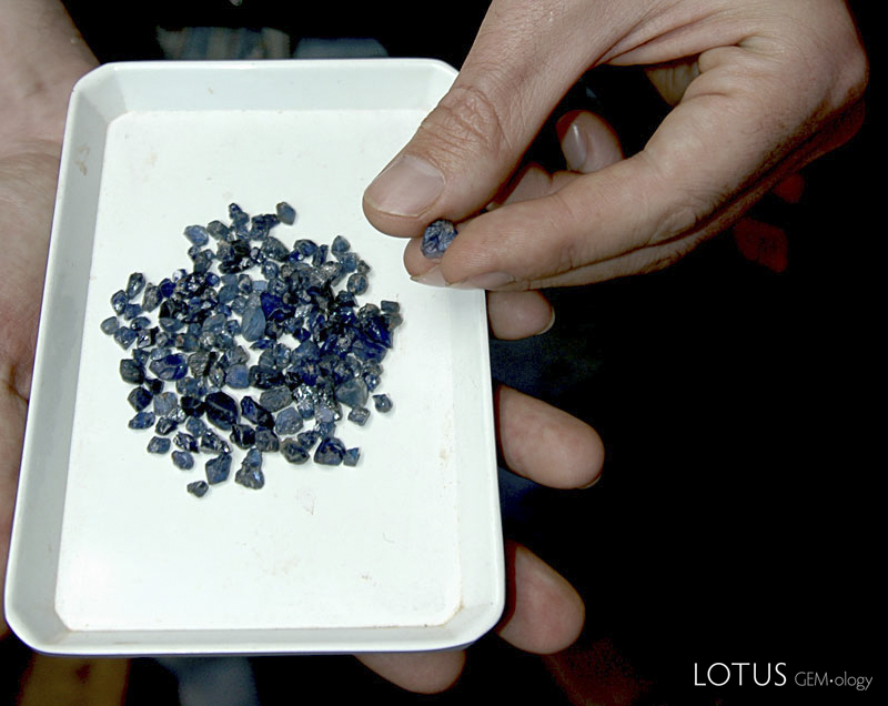 A plate of Andrebabe sapphires on offer in Andilamena. Photo: Richard W. Hughes