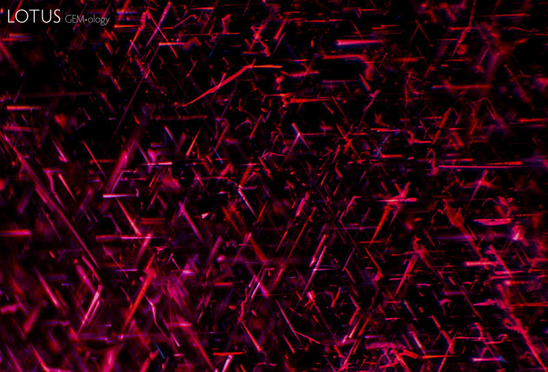 Rutile silk in a Burmese ruby. These inclusions scatter light, helping to reduce extinction. Photo: R.W. Hughes