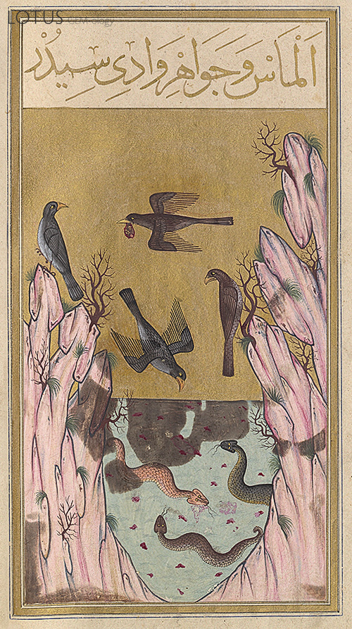 An Oriental miniature dated 1582, representing the Valley of Serpents,&nbsp;guarded by snakes. Eagles carry in their beaks pieces of meat in which&nbsp;gems are embedded, illustrating an Indian legend that appears in&nbsp;the tale of Sinbad the Sailor in the Thousand and One Arabian Nights.&nbsp;Illustration courtesy of the Biblioth&egrave;que Nationale, Paris.