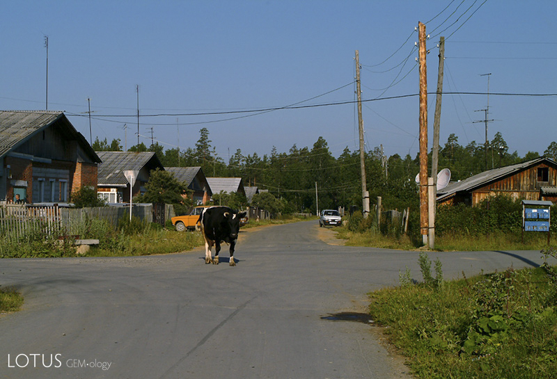 The small village of Malysheva, which is perched on the very edge of the large open pit (just beyond the trees in the background. Photo: Warren Boyd