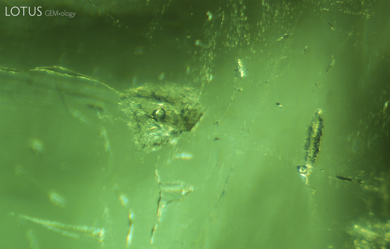 Lotus Gemology Bangkok: Two-phase negative crystals in a Malysheva emerald. Specimen courtesy of Tsar Emeralds Corp.; photo: John Koivula