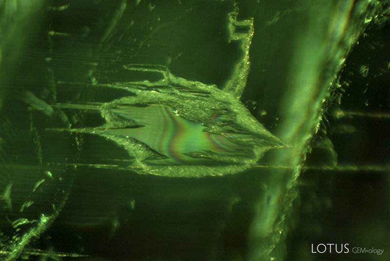 Lotus Gemology Bangkok: A small negative crystal in a Malysheva emerald. Specimen courtesy of Tsar Emeralds Corp.; photo: John Koivula