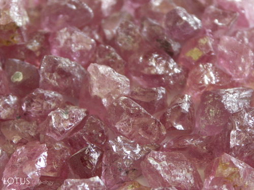 Rough spinel from Kuh-i-Lal. Photo: Vincent Pardieu/fieldgemology.org