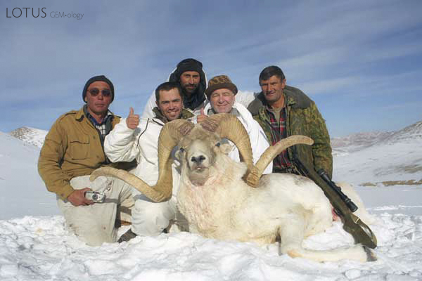 Eastern Badakhshan is one of the last strongholds of the Marco Polo sheep. This photo was taken near Jarty Gumbez. At that camp, hunting is strictly controlled, with a cull of just 50 rams per year, allowing the preservation of this endangered species. Only about 10,000 of these sheep remain. Trophy hunters spend $25,000 and up to bag this largest of all sheep. Photo: Surat Toimastov