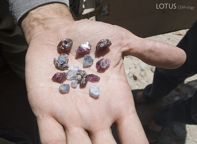 A handful of sapphire and garnet crystals offered to us in the Wakhan Corridor, including one on matrix. Photo: Richard W. Hughes