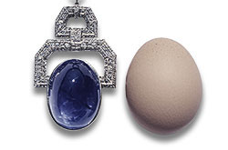 Burmese Sapphire Giants