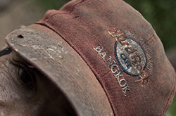 Red Sky at Dusk  |  Hunting the Last Siamese Ruby Miner